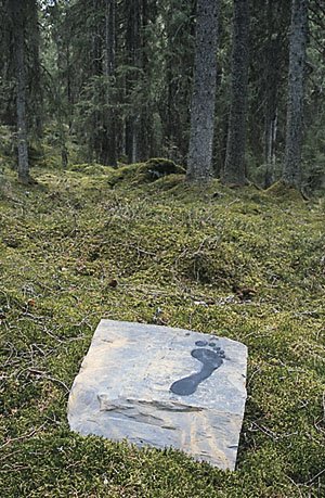 [ Photo: Petri Nevalainen ]